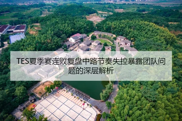 TES夏季赛连败复盘中路节奏失控暴露团队问题的深层解析
